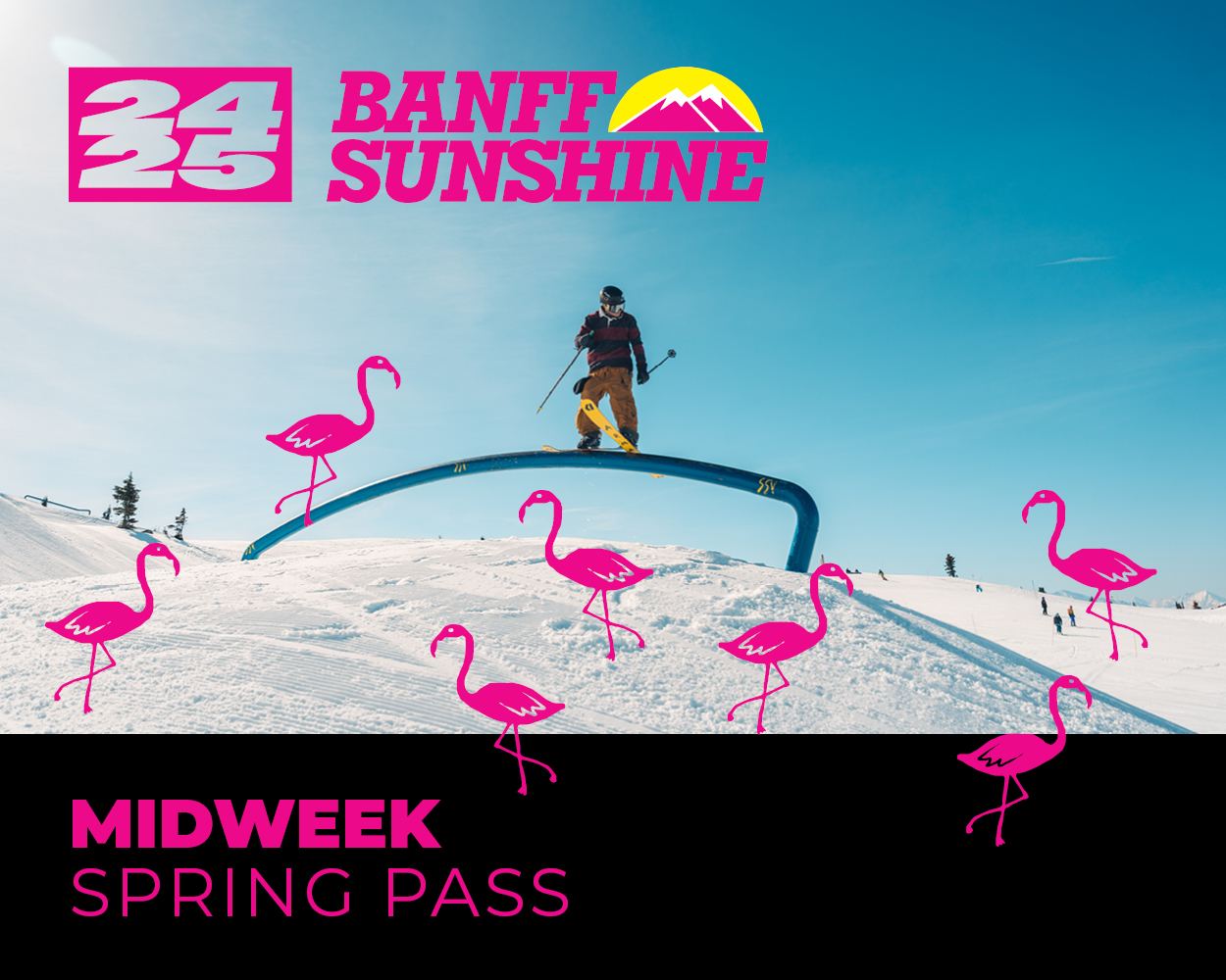 Midweek Spring Pass