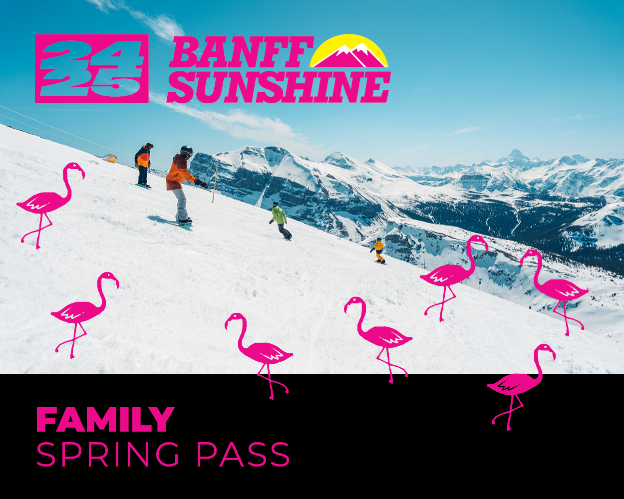 Family Spring Pass