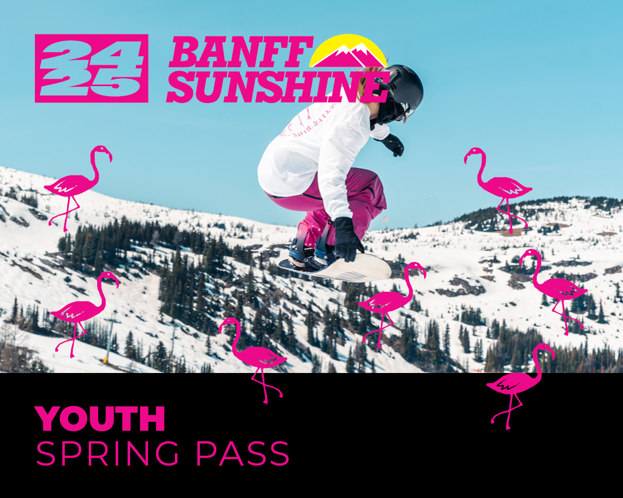 Youth Spring Pass