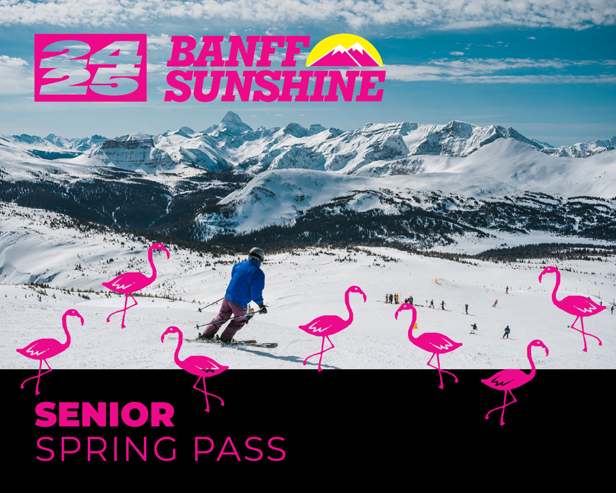 Senior Spring Pass