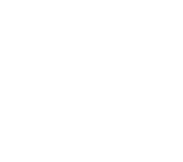 Bow Cycle