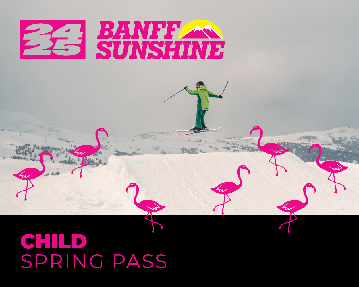 Child Spring Pass