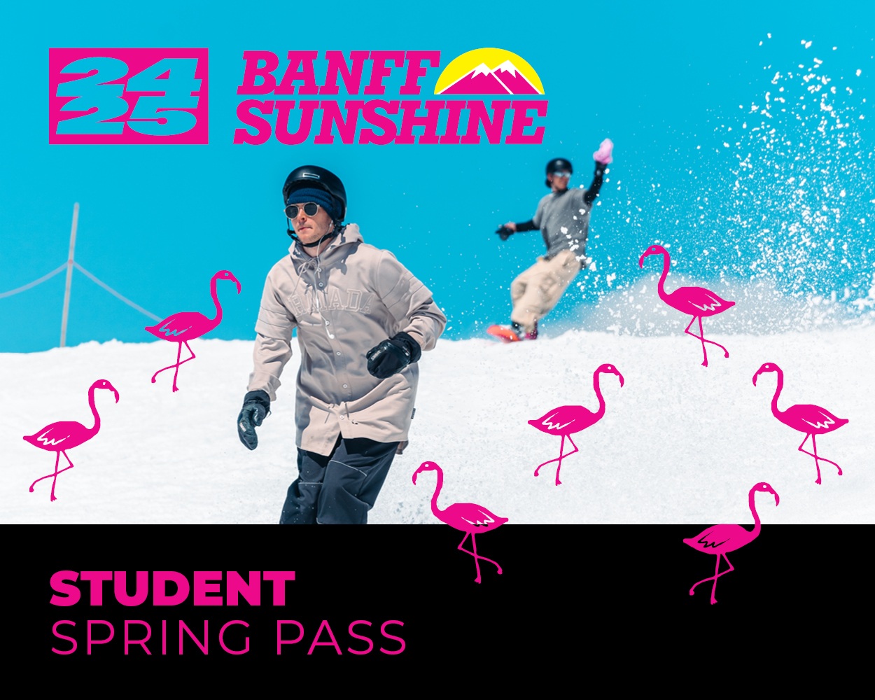 Student Spring Pass