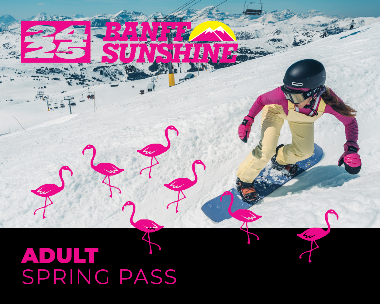 Adult Spring Pass